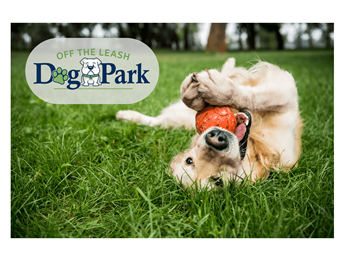 Leash-free pet park